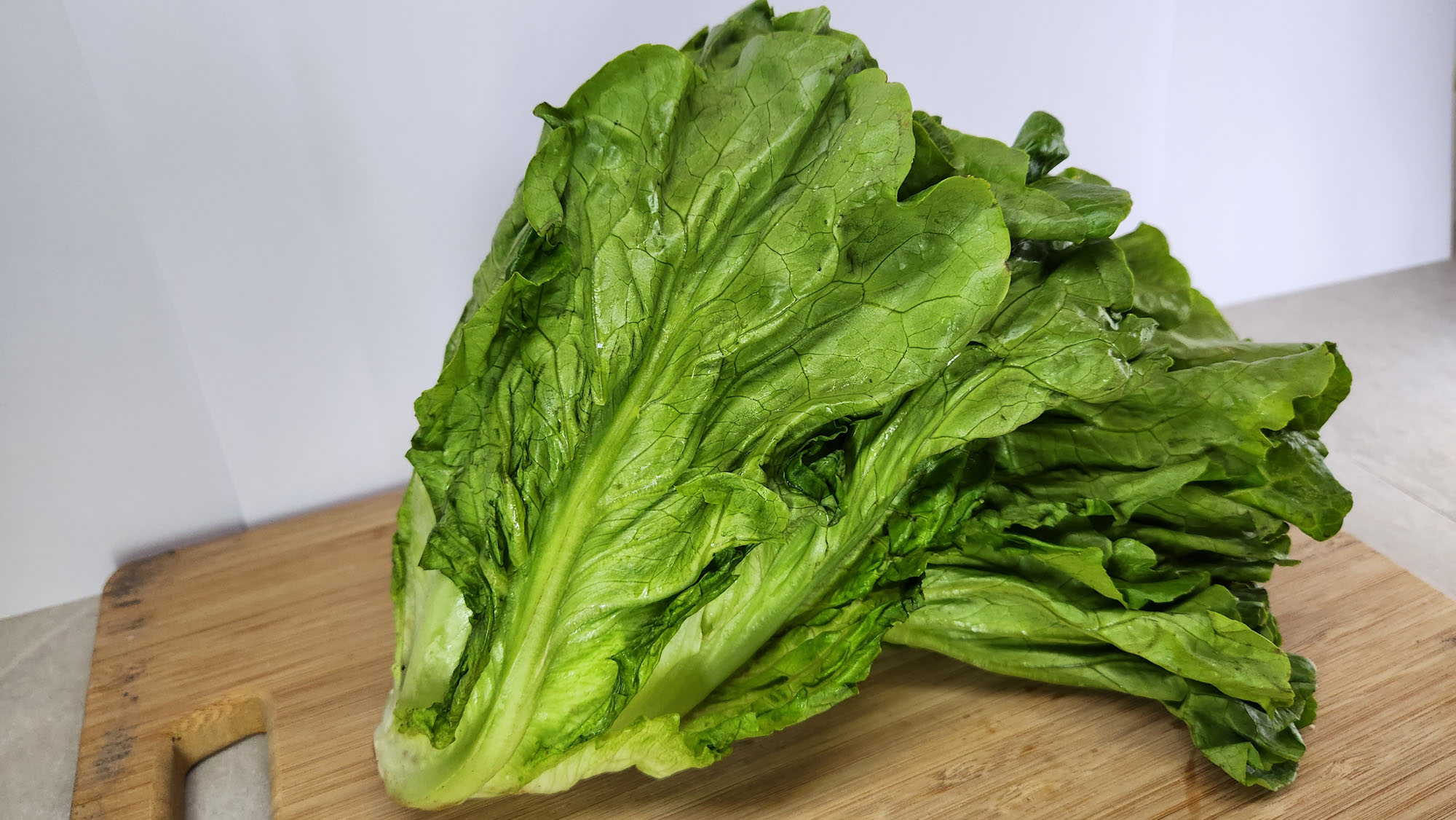 生菜-商品示範圖2